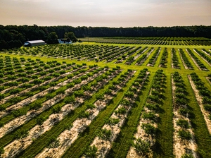 Overview of the historic Bennett Farmstead. The remnants of Baltimore Mills on the property date back to the 1700s and have been placed on the National Register of Historic Places by the US Department of the Interior. 